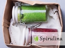 Algi czerwone czy zielone? jakie wybrać?