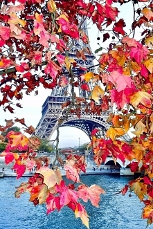 Cudownie Ujęte Zdjęcie.