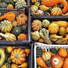 Jesienny klimat czyli dynie wszelkiego rodzaju, piękne barwy. Dużo smakowitych inspiracji czeka na naszym blogu cojebunny.pl oraz na instagramie @cojebunny i facebooku cojebunnypl