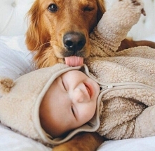 Bardzo miło(　^ω^)