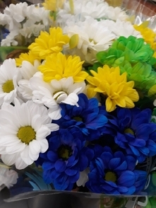 super kwiatki z biedronki :)