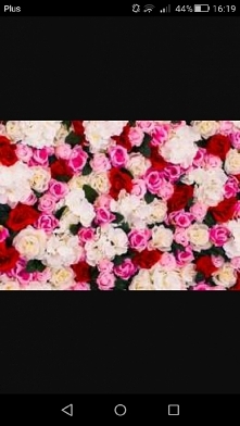 Hej dziewczyny. Czy macie pomysły (jakieś linki) na ściankę do zdjęć na chrzest dziewczynki? Chciałabym zrobić ją na sali.