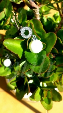 moje perełki znalezione podczas podlewania ;)