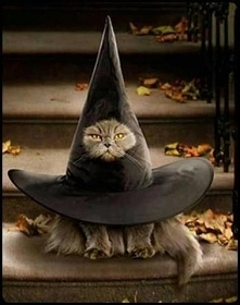 Czarownica? :)