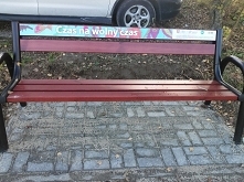 jedna z wielu podobnie ozdobionych ławek w dzielnicy Czuby