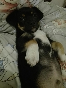 jeszcze jak był mniejszy