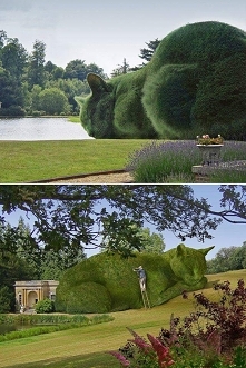 Arcydzieło dla kotów..