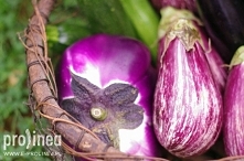 Mity dietetyczne są wciąż p...