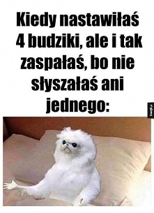 moja codzienność