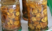 Grzyby marynowane w pysznej zalewie slodko-kwaśnej