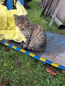 ❤️❤️❤️❤️