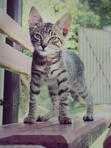 Takii wielki jestem :D