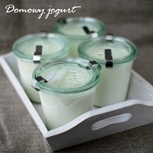 domowy jogurt