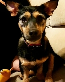 #kochamgo #kochamtamordke #Quebcio   #mlody #bylemufryzjera