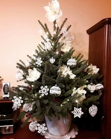 Czekamy już na święta i Mikołaja