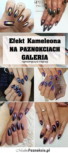 Efekt Kameleona w 12 odsłonach – GALERIA