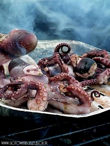 Ośmiornica grillowana po grecku
