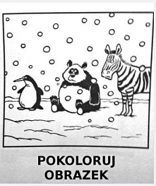Na jaki kolor??xd logika ludzka