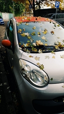 Niby już po 1 dniu zimy, al...