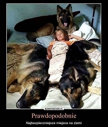 Taka obstawa to ja rozumiem!