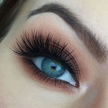 ..............................