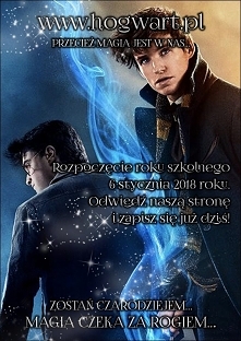 Zapraszam do zapisów! Czeka...