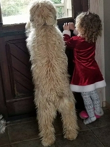 To, na co patrzą, to bardzo ładny obraz♥(^__^)