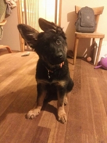 Słodziaczek ❤❤❤