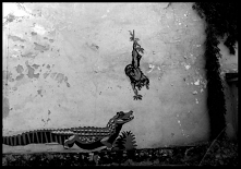 Czy Stare Zoo w Poznaniu da się lubić? Nasz synek je uwielbia. Lubi popatrzeć na osiołka, poklepać kozę i wskoczyć na plac zabaw. My mamy trochę inne odczucia. Nie ukrywamy tego...