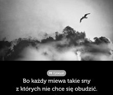 Z konta "Cytaty.pl".