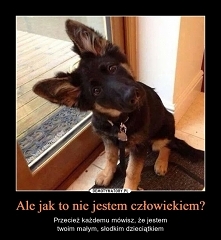 Która z Was mówi na swojego...