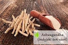 Ashwagandha (indyjski żeń-szeń)- właściwości lecznicze