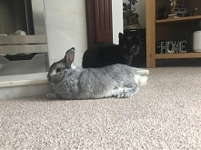 zmeczeni i zadowoleni 