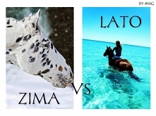 Ja nie umiem zdecydować, ka...