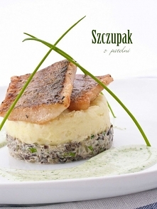 Szczupak