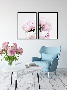 Dwa plakaty  piwonie