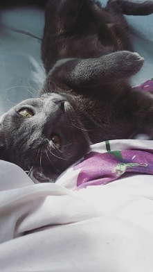 W końcu wyszło słońce ;)