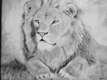 Jakieś 3 lata temu... wpadł...