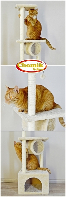 Dwa kolejne wzory drapaków 