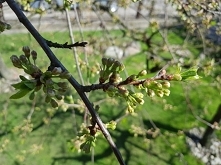 Cudowna pora roku :)