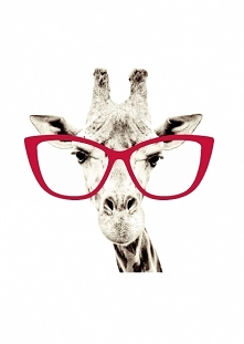 żyrafa w okularach obrazek