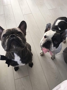 Gargulce ❤️❤️❤️