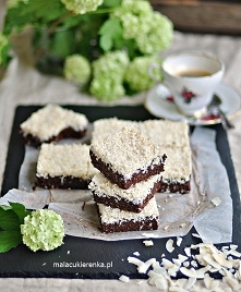 Ciasto kakaowo – kokosowe z pestkami bez cukru, bez glutenu, wegańskie. Przepis po kliknięciu w zdjęcie.