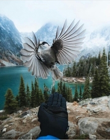 Wolność to piękna rzecz w ważnych sprawach♥