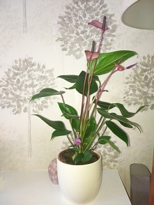 Z okazji bez okazji :) moja kochana rodzinka :*