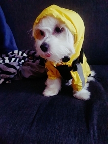 Deszczowa pogoda Kirze nie straszna 