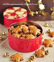 PIERNICZKI JAK Z KOPERNIKA