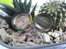 nie próbujesz, nie wygrywasz!