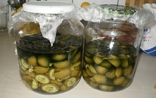 Lecznicza nalewka orzechowa, orzechówka