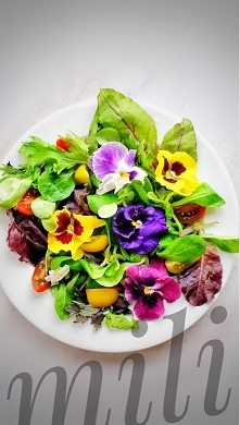 Spacer po ogrodzie zawsze przyniesie korzyści:)